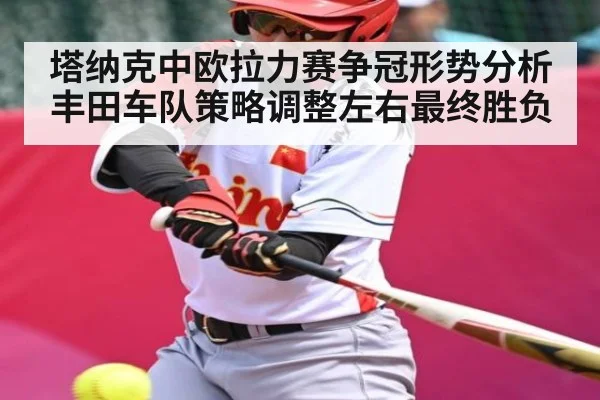 塔纳克中欧拉力赛争冠形势分析 丰田车队策略调整左右最终胜负